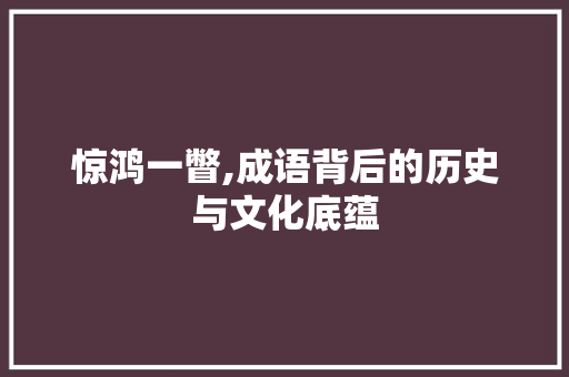 惊鸿一瞥,成语背后的历史与文化底蕴