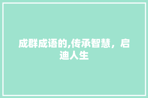 成群成语的,传承智慧，启迪人生