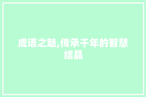 成语之魅,传承千年的智慧结晶