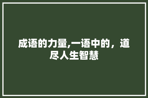 成语的力量,一语中的，道尽人生智慧