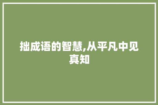 拙成语的智慧,从平凡中见真知