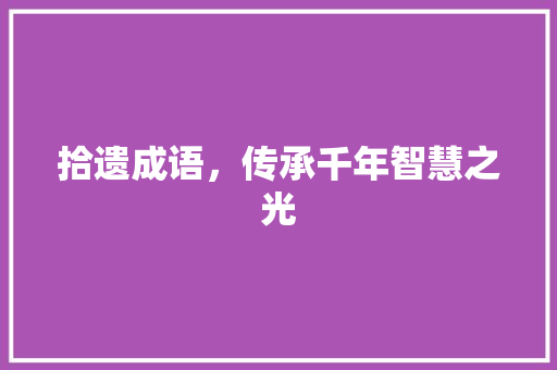 拾遗成语，传承千年智慧之光