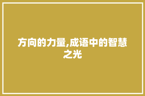 方向的力量,成语中的智慧之光