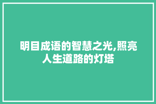 明目成语的智慧之光,照亮人生道路的灯塔