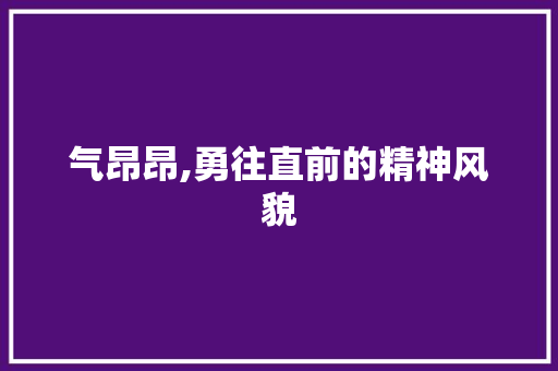 气昂昂,勇往直前的精神风貌