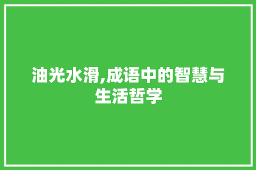 油光水滑,成语中的智慧与生活哲学