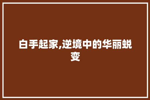 白手起家,逆境中的华丽蜕变