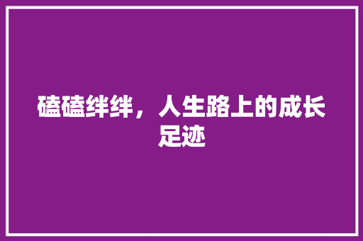 磕磕绊绊，人生路上的成长足迹