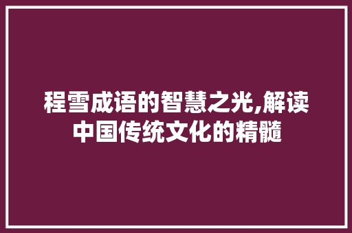 程雪成语的智慧之光,解读中国传统文化的精髓