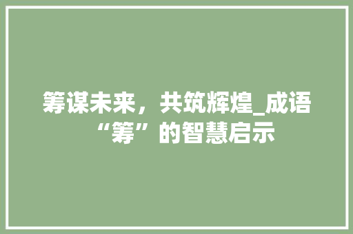 筹谋未来，共筑辉煌_成语“筹”的智慧启示