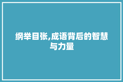 纲举目张,成语背后的智慧与力量