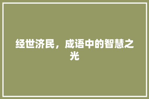 经世济民，成语中的智慧之光