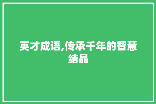 英才成语,传承千年的智慧结晶