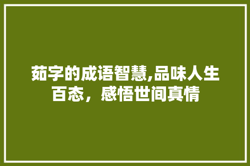 茹字的成语智慧,品味人生百态，感悟世间真情