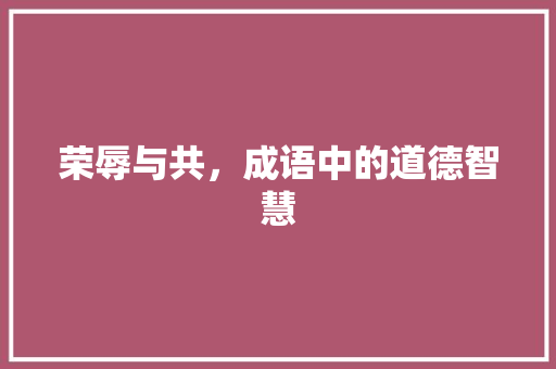 荣辱与共，成语中的道德智慧