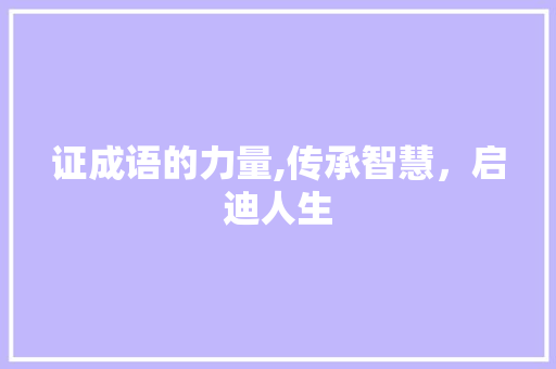 证成语的力量,传承智慧，启迪人生