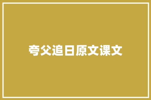 精准布局，高效执行,供应公司经营计划介绍