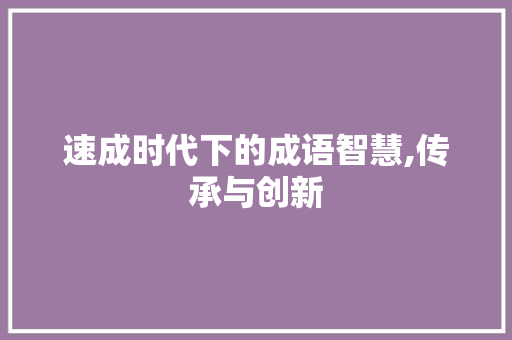 速成时代下的成语智慧,传承与创新 生活类