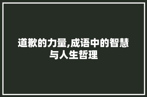 道歉的力量,成语中的智慧与人生哲理