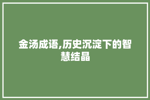 金汤成语,历史沉淀下的智慧结晶
