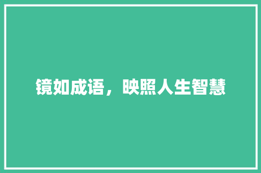 镜如成语，映照人生智慧 生活类