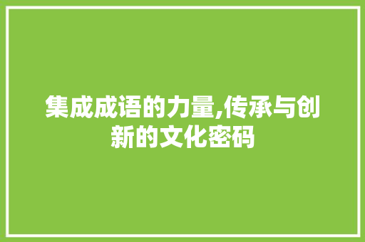集成成语的力量,传承与创新的文化密码 工作类
