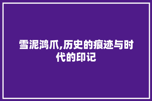 雪泥鸿爪,历史的痕迹与时代的印记