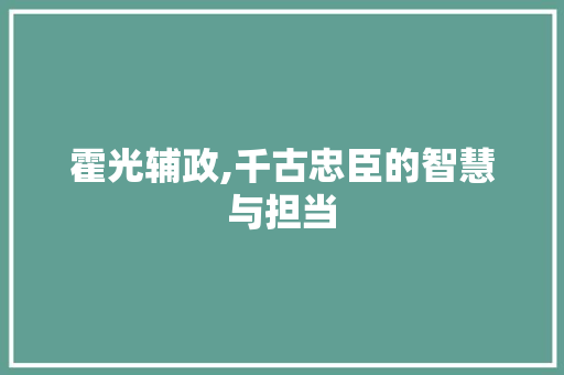 霍光辅政,千古忠臣的智慧与担当 工作类