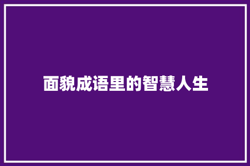面貌成语里的智慧人生