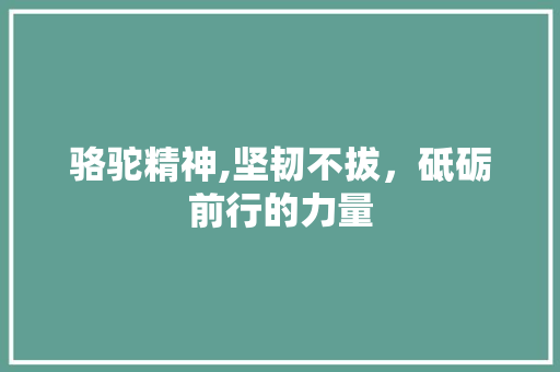 骆驼精神,坚韧不拔，砥砺前行的力量 生活类