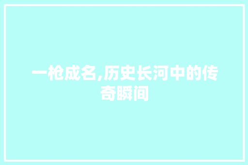 一枪成名,历史长河中的传奇瞬间