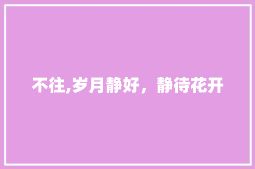 不往,岁月静好，静待花开