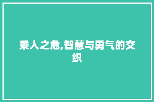 乘人之危,智慧与勇气的交织