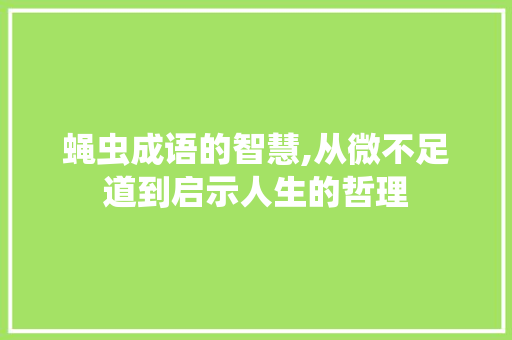 蝇虫成语的智慧,从微不足道到启示人生的哲理