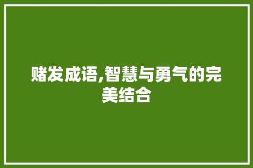 赌发成语,智慧与勇气的完美结合 工作类