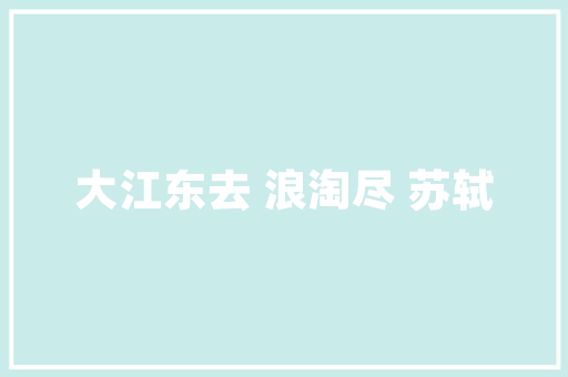 一瀑成语的智慧,诠释人生百态，启迪心灵成长 工作报告