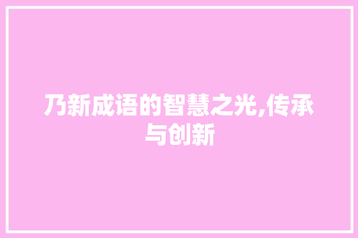 乃新成语的智慧之光,传承与创新