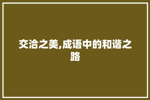 交洽之美,成语中的和谐之路