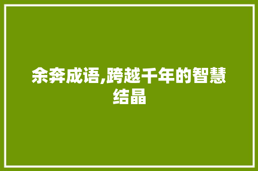 余奔成语,跨越千年的智慧结晶
