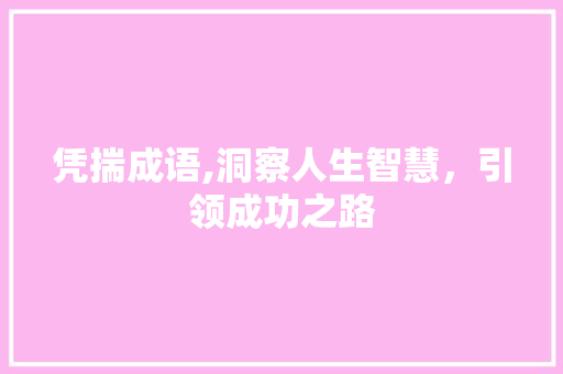 凭揣成语,洞察人生智慧，引领成功之路
