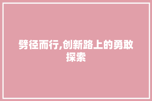 劈径而行,创新路上的勇敢探索