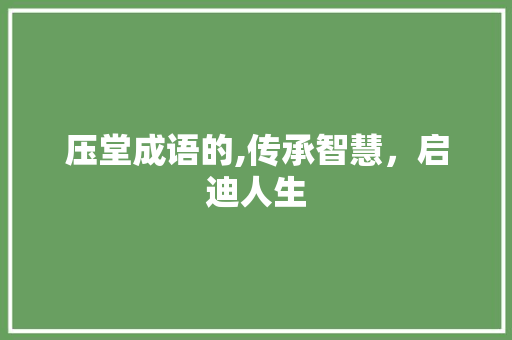 压堂成语的,传承智慧，启迪人生