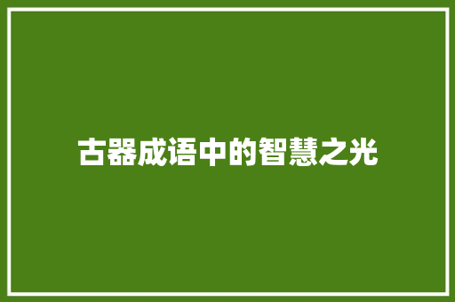 古器成语中的智慧之光