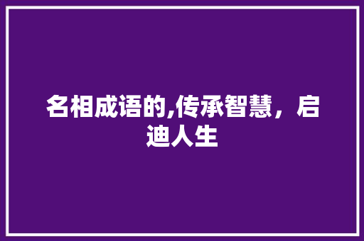 名相成语的,传承智慧，启迪人生
