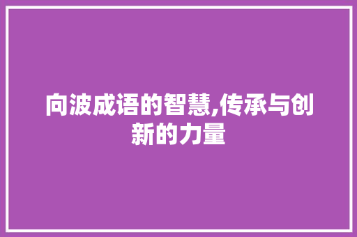 向波成语的智慧,传承与创新的力量