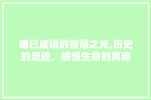 唏已成语的智慧之光,历史的足迹，感悟生命的真谛