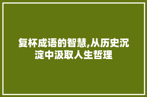 复杯成语的智慧,从历史沉淀中汲取人生哲理
