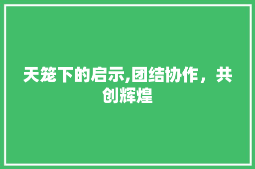 天笼下的启示,团结协作，共创辉煌