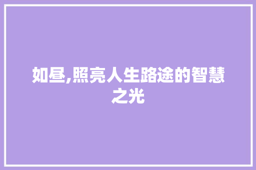 如昼,照亮人生路途的智慧之光