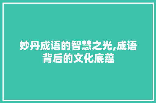 妙丹成语的智慧之光,成语背后的文化底蕴